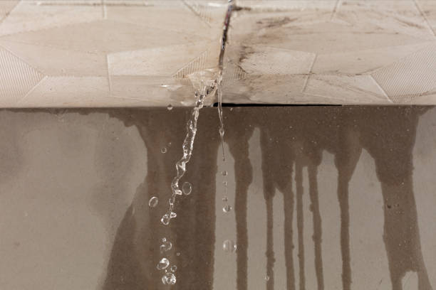Professional Sewage Cleanup technician working in Mount Olive, AL